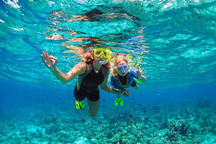 Snorkeling island paradise bahamas nassau city coral reefs hurghada tips sandals reef trip cebu tour hopping vicente mactan lunch san